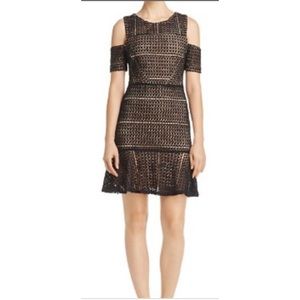 (Sz M) Aqua Off-Shoulder Black Lace Dress